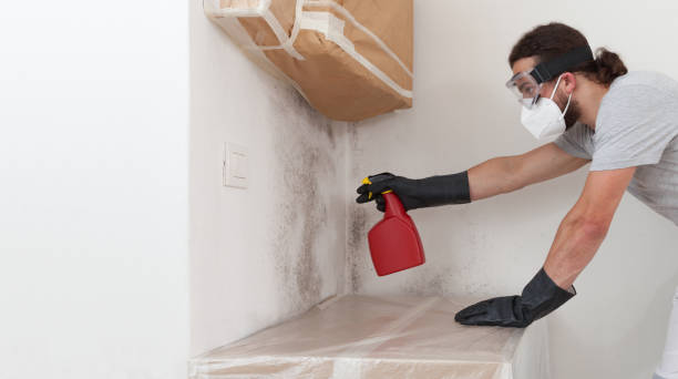 Professional Commercial Mold Remediation technician working in Hampton, IL