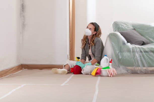 Reliable Commercial Mold Remediation contractor in Hampton, IL by WQB Mold Removal